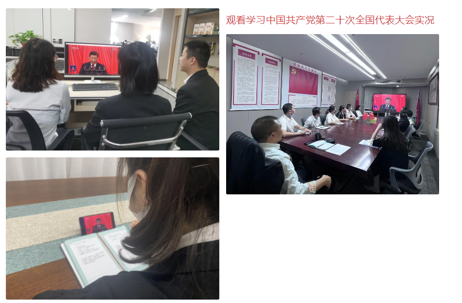 奋进新征程|金年会党支部组织开展学习中国共产党第二十次全国代表大会精神